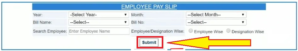 Employee-pay-slip