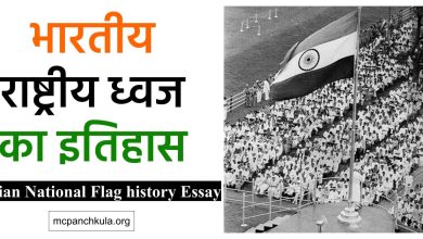 भारतीय राष्ट्रीय ध्वज इतिहास महत्त्व निबंध