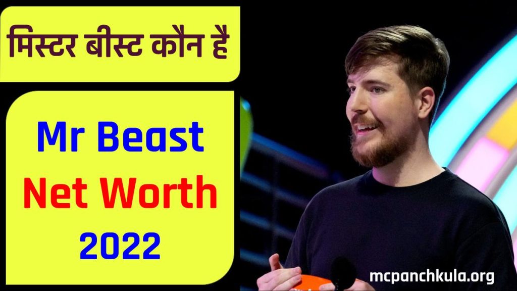 Mr Beast Net Worth