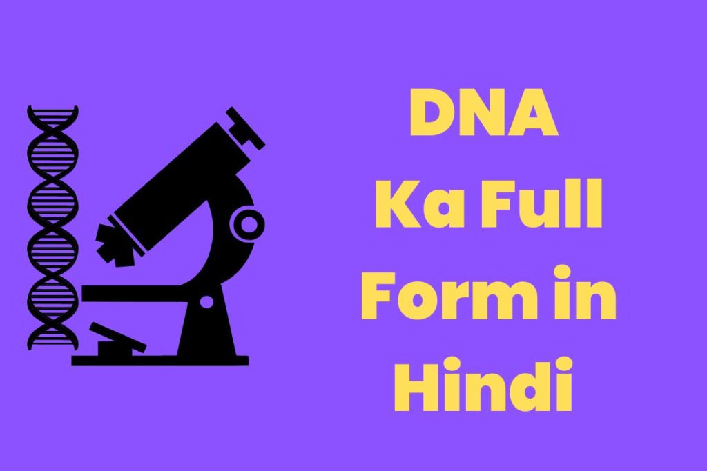 DNA Ka Full Form in Hindi | डीएनए (DNA) का मतलब क्या होता है