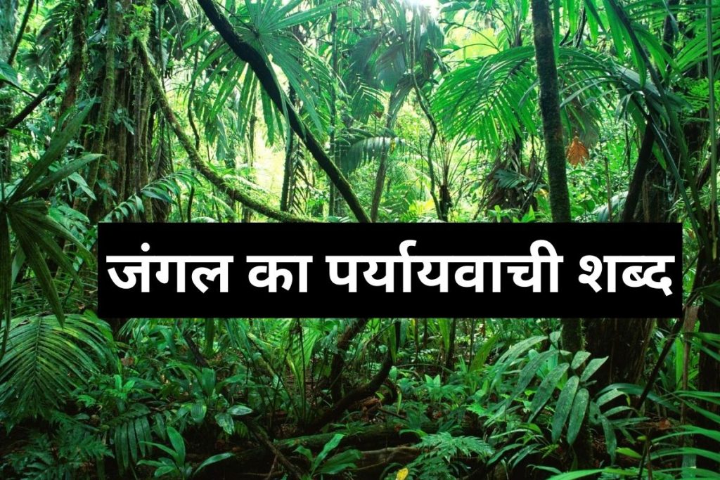 जंगल का पर्यायवाची शब्द – jungle ka paryayvachi shabd