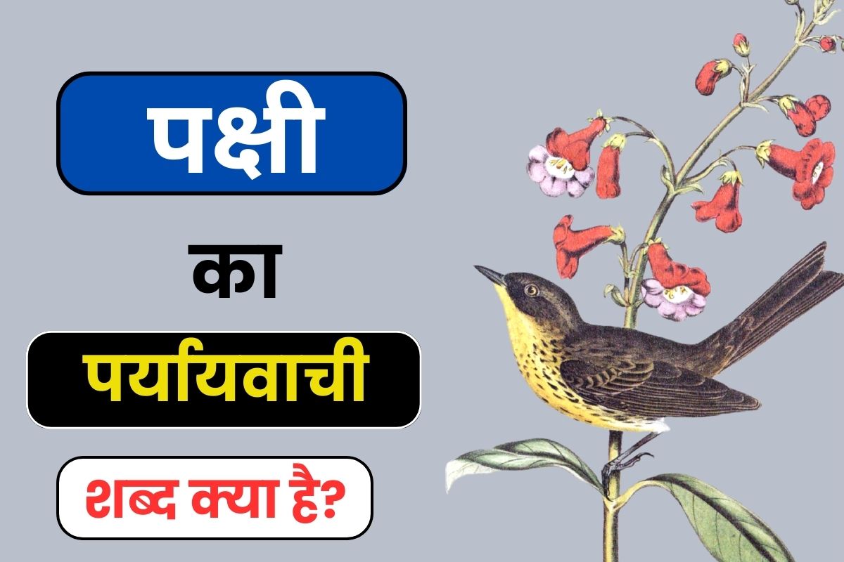 Pakshi Ka Paryayvachi Shabd - पक्षी का पर्यायवाची शब्द क्या है