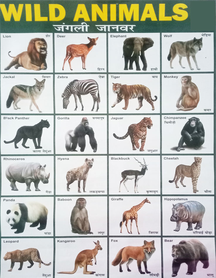 जंगली जानवरों के नाम हिंदी और इंग्लिश में- (Wild Animals Name in Hindi and English)