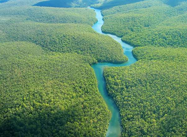 अमेजन नदी की लम्बाई