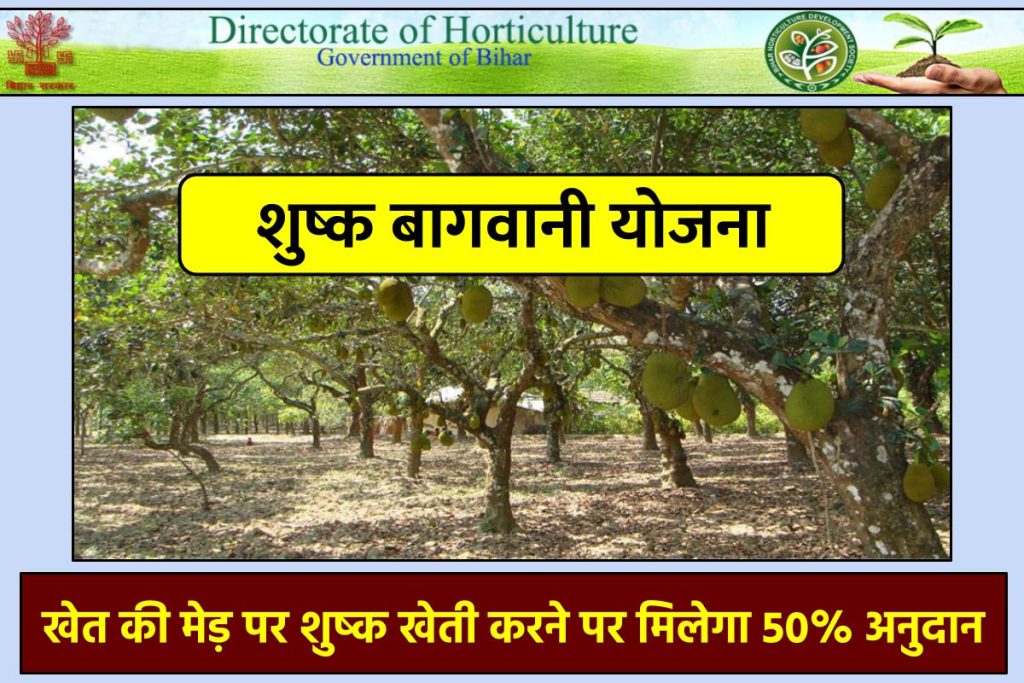 शुष्क बागवानी योजना: खेत की मेड़ पर शुष्क खेती करने पर मिलेगा 50% अनुदान