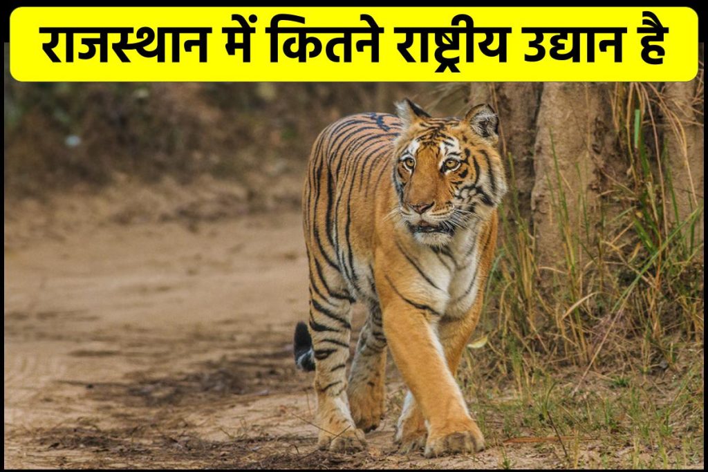 राजस्थान में कितने राष्ट्रीय उद्यान है - List of National Parks in Rajasthan in Hindi 
