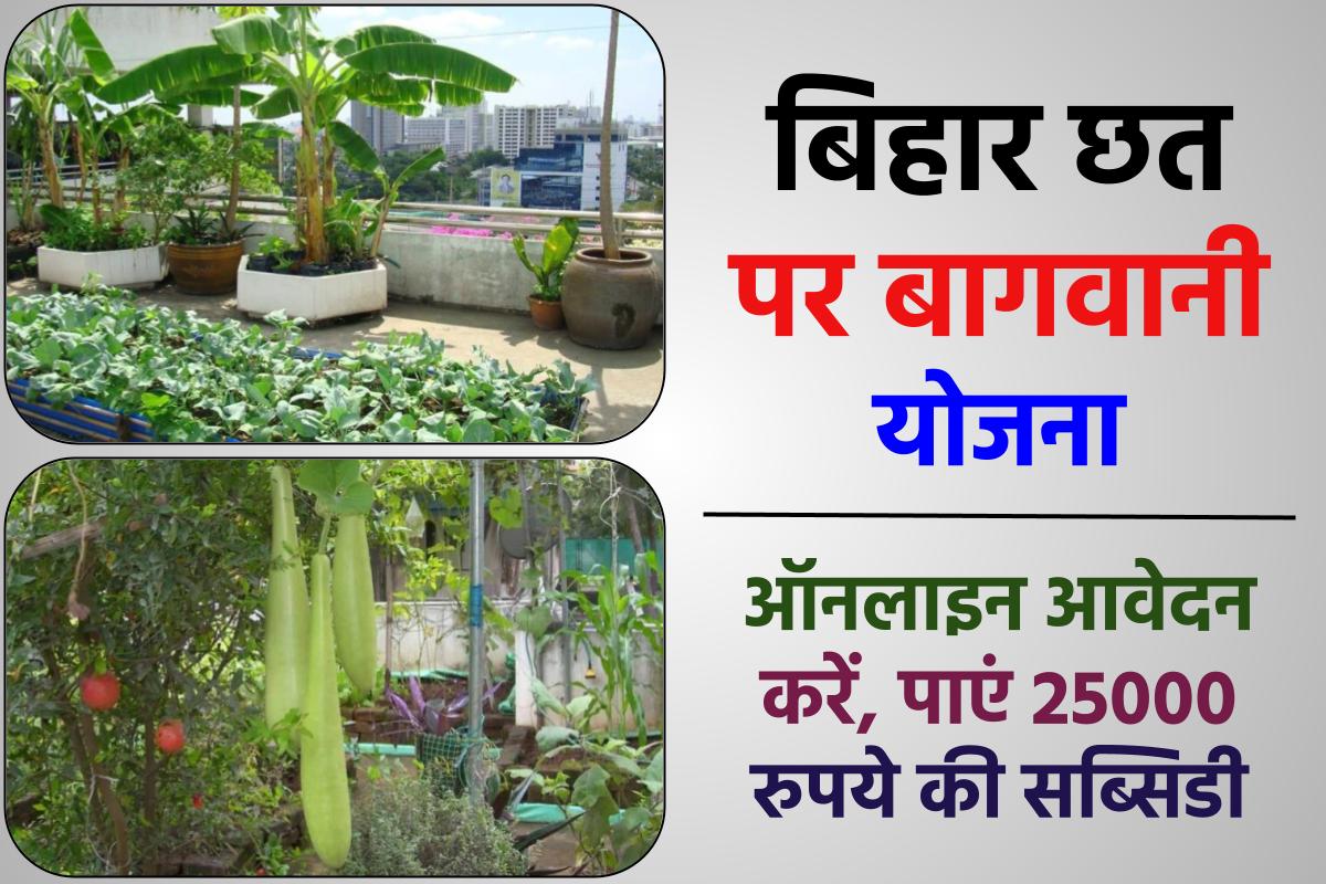 बिहार छत पर बागवानी योजना: ऑनलाइन आवेदन करें, पाएं 25000 रुपये की सब्सिडी