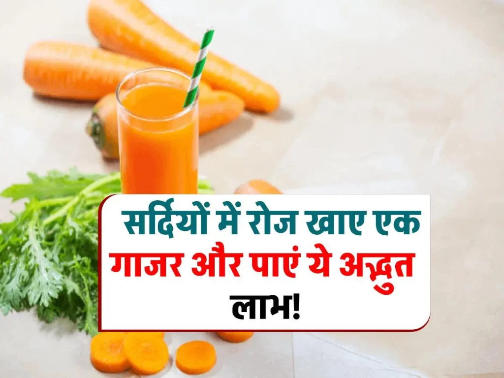 Carrot Benefits: सर्दियों में रोज खाएं एक गाजर, पूरे साल रहेंगे फिट और फाइन