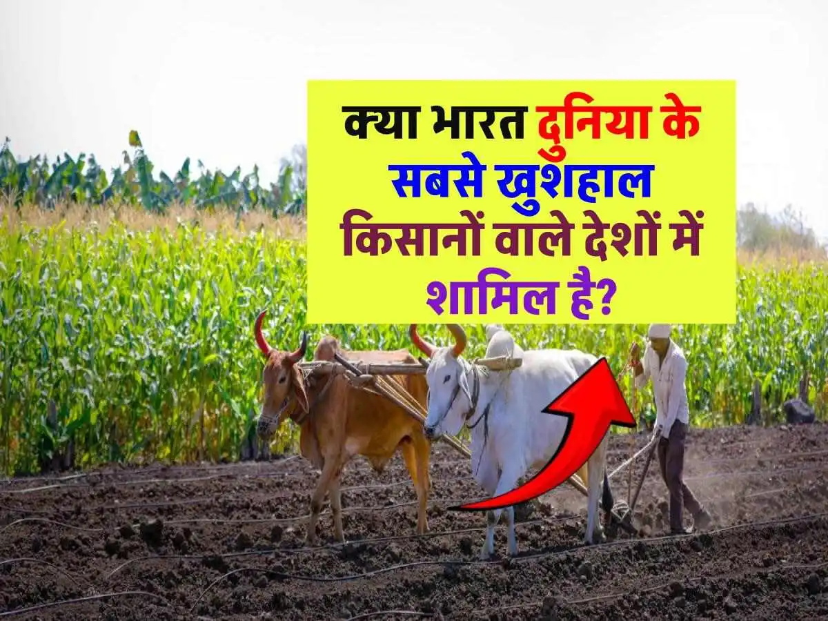 जानिए किस देश के किसान हैं सबसे ज्यादा खुश और भारत का स्थान क्या है?