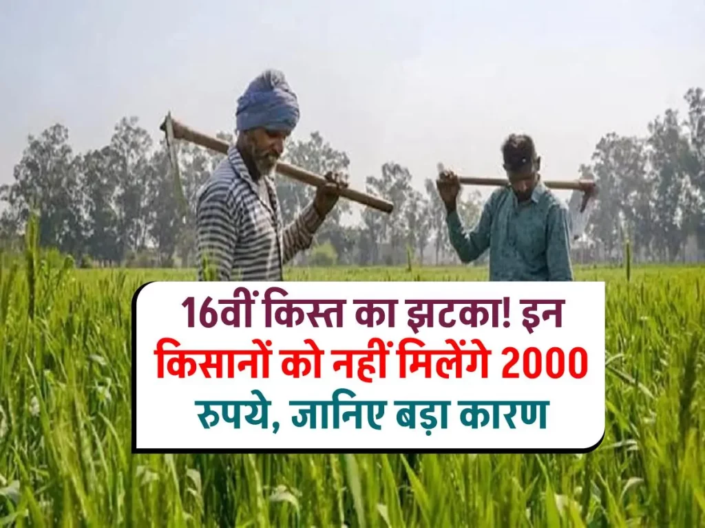 PM Kisan Yojana: किसानों को नहीं मिलेगी 16वीं किस्त के 2000 रुपये: सबसे बड़ा कारण आया सामने