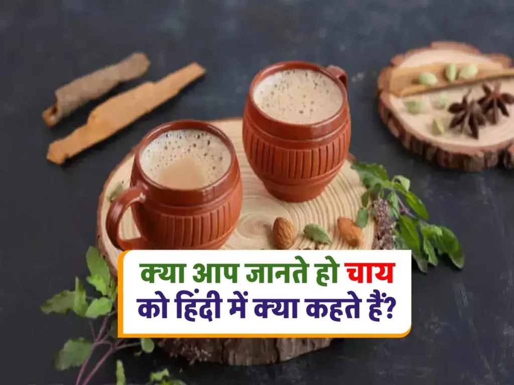 चाय को हिंदी में क्या कहते हैं और ये शब्द कहां से आया?