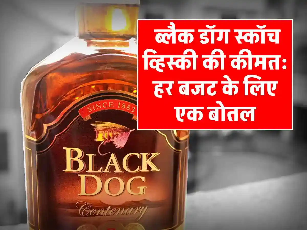 Black Dog Scotch Whisky Price