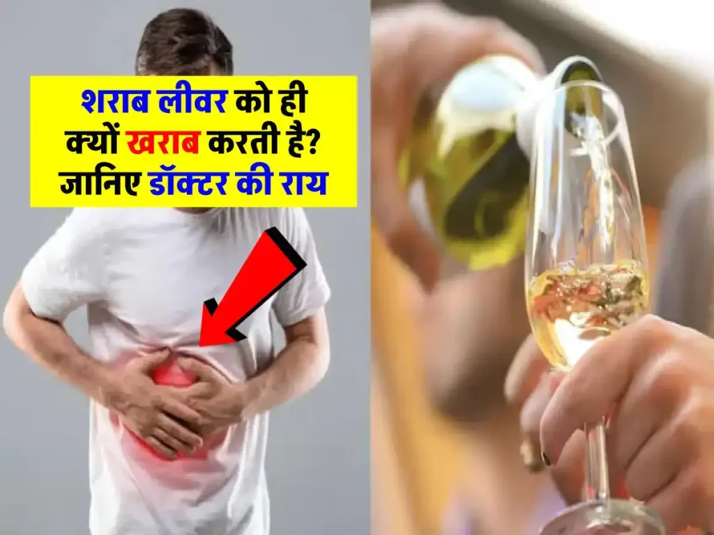 Why Alcohol Attack the Liver